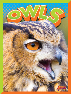 cover image of Owls